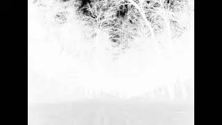 Daniel Bachman - Grey (Take Three)