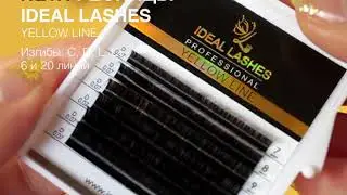 Черные ресницы для наращивания ресниц IDEAL LASHES желтая линия