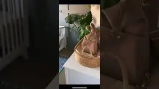 Baby Girl Nursery Sneak Peek!