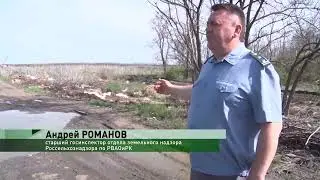 Незаконная свалка на землях сельхозназначения