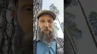 Первомай - в пролёте с пролетариями