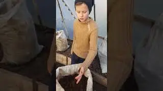 Теплица.Часть 2.