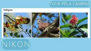 TOUR PELA CAMERA