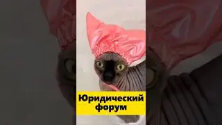 Юридический форум! ВОДА, ПОЛЬЗА или просто ТУСОВКА для юристов?