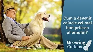 Cum a Devenit Cainele cel mai Bun Prieten al Omului?