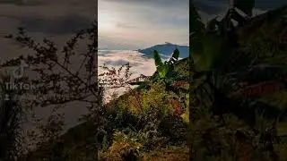 dần thàng ngày 5/8/2022