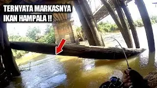 GAK NYANGKA Di BAWAH KAYU INI TERNYATA MARKASNYA IKAN PREDATOR AIR DERAS.