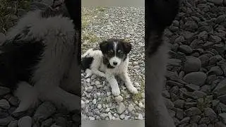 Хотели чего то милого ?