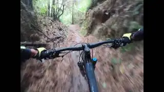 Riding in the Tropics in Manizales, Colombia with Haku Expeditions.