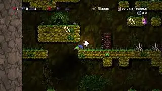 Spelunky Skill Issue Pack 2