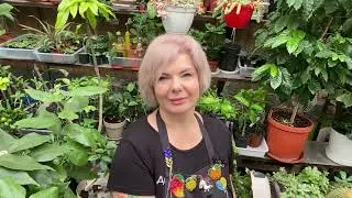 Перша прогулянка в лютому)))