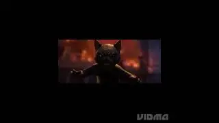 кот против кисы