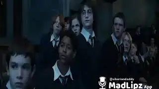 Гарри поттер (озвучка)