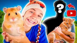 Revelei os Pets dos YOUTUBERS Famosos