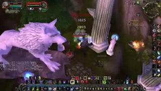 Goldrinn's Ferocity Quest - WoW Cataclysm