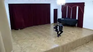 Бенефис аккордеона