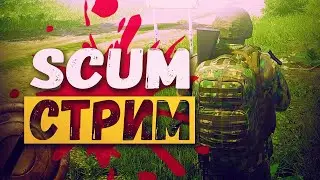 СКАМ стрим С ВЕБКОЙ