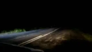 в погоне за зайцем