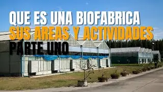 What is a Biofactory? 🎍