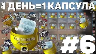ОТ КАПСУЛЫ ДО НОЖА #6