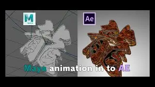【Tutorial】Maya animation in to AE for E3D users