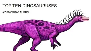 Top Ten Dinosauruses - Number 7 - Snorkasaurus