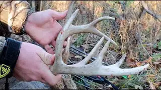 Recovering Your Biggest Buck   |    No Better Feeling