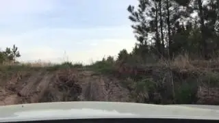 Subaru Outback fun climb