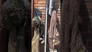 #ско #колхозныйрынок