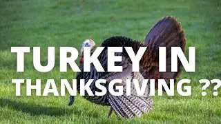 WHY DO WE EAT TURKEY ON THANKSGIVING ??