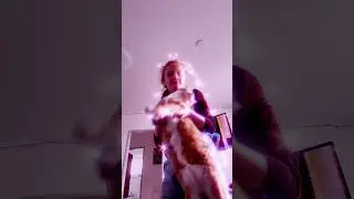 XD