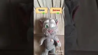 Правда или ложь #1