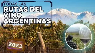 Wine routes in Argentina: an unforgettable experience for 2023