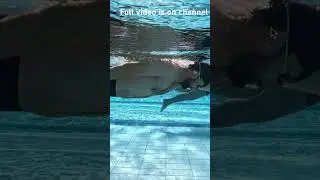 Using head position to raise the torso #swimming #swimtechnique #swimbikerun