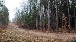 2021 archery michigan deer hunt