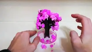 Комнатные растения Маленькое декоративное комнатное дерево Обзор, Распаковка посылки, Отзывы, Купить