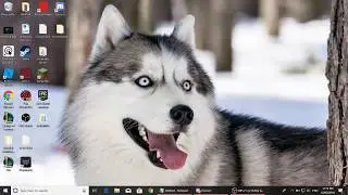 How to fix OBS black screen problem