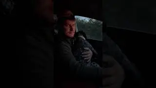 Когда очень хочется порулить) 
