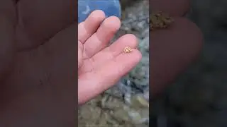 😮😁 You Won't Believe What I Found In This Tiny Crack!!! (Full adventure link in Description)