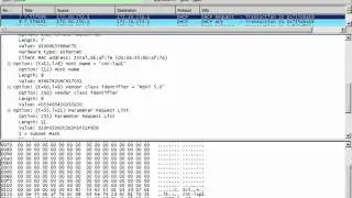 Wireshark-OpeningFileDHCP.FLV