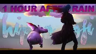 1 Hour of After Rain - Hippo Lofi