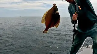 We went for cod, but caught flounder.