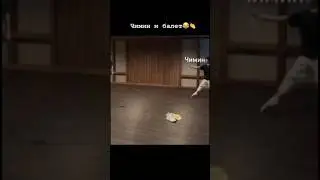Чимин и балет 🤣👌 