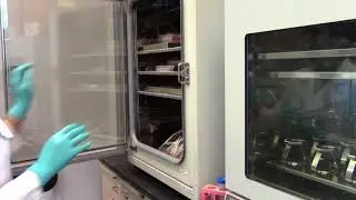Incubator Removal NCML Cardiac Summer Biotech Institute 2017