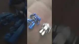 тоботы и котики