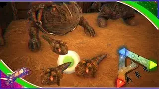 BEELZEBUFO BREEDING - BABY FROG TRIPLETS - AMPHIBIAN BREEDING  - Ark Survival Evolved S3 E25