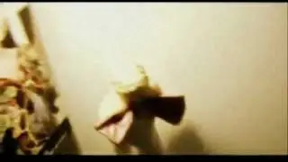 centro de imagen venus veinte aniversario.wmv