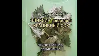 Сок крапивы - эликсир здоровья, важнейший источник витаминов  Супер лекарство от многих болезней!!!