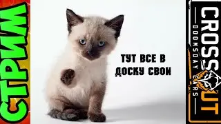 CROSSOUT  тут все в доску свои!!!!