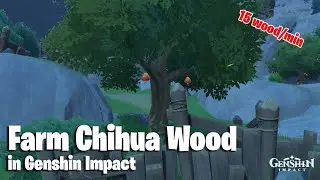 Where to find Cuihua Wood (Best Farm Route) in Genshin Impact